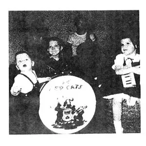 Pochette de On Graycroft de R. Stevie Moore
