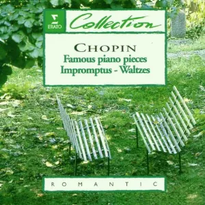 Pochette Famous piano pieces - Impromptus - Waltzes