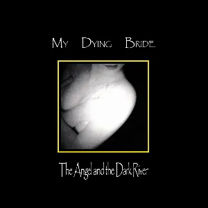 Pochette The Angel and the Dark River