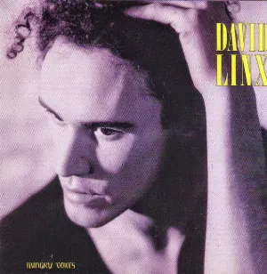 Pochette de Hungry Voices de David Linx