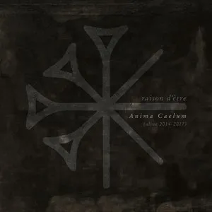 Pochette de Anima Caelum de raison d’être