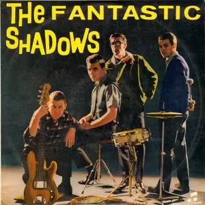 Pochette The Fantastic Shadows