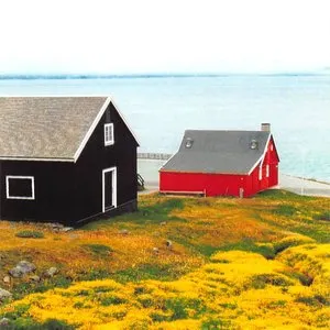 Pochette de Ann Arbor Saturday de Jandek