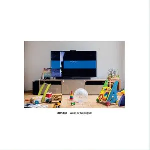Pochette de Weak or No Signal de dBridge
