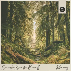 Pochette de Runaway de Mishaal