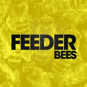 Pochette de Bees (Alt. mix) de Feeder