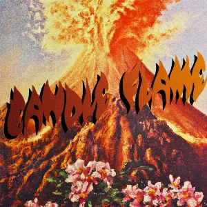 Pochette de Candle Flame (Opolopo remix) de Jungle
