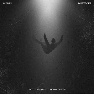Pochette de Bimeye Omr de Shervin Hajipour