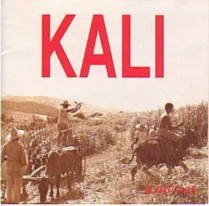 Pochette de Racines Vol.1 & 2 de Kali