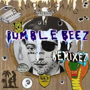 Pochette de World Wild Web Remixez de Bumblebeez