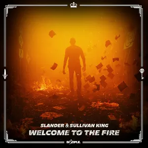 Pochette de Welcome to the Fire de SLANDER - Sullivan King