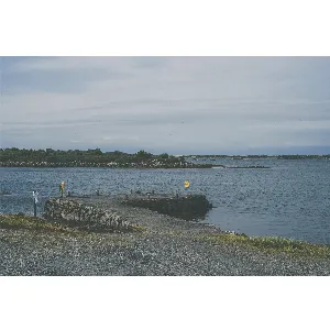 Pochette de bikes at the pier de NOGYMX