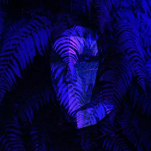 Pochette de Fractal π de Electric Dreams