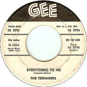 Pochette de Everything To Me / Flip-Flop de The Teenagers