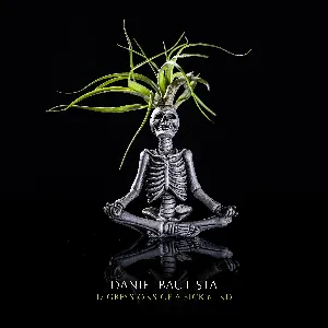 Pochette de Digressions of a Sick Mind de Daniel Bautista