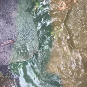 Pochette de Rain Ruins Rainbows de Ueda Takayasu