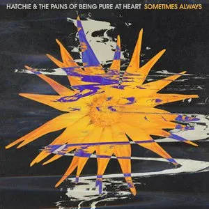 Pochette de Sometimes Always de The Pains of Being Pure at Heart