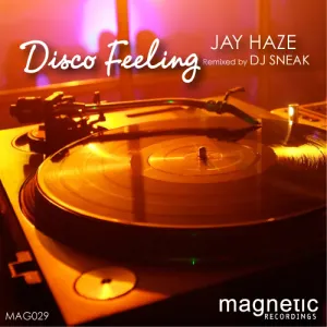 Pochette de Disco Feelings de DJ Sneak
