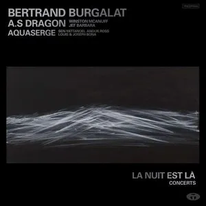 Pochette de La nuit est là : Concerts de Bertrand Burgalat