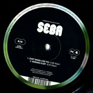 Pochette de Don't Wanna Lose You de Seba