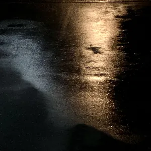 Pochette de Die Milchstrasse de Ueda Takayasu