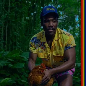 Pochette de Bando Stone and the New World de Childish Gambino