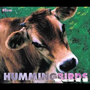 Pochette de Tail de The Hummingbirds