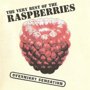 Pochette Overnight Sensation: The Very Best of the Raspberries