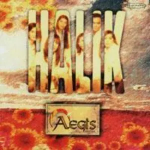 Pochette de Halik de Aegis