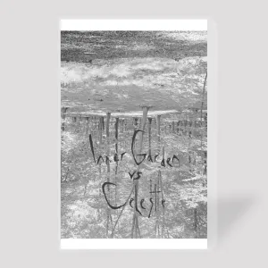 Pochette de Inner Garden vs. Celeste de Celeste