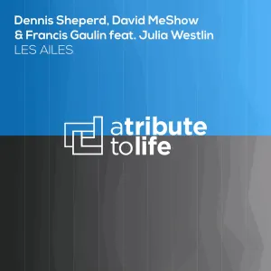 Pochette de Les Ailes de Dennis Sheperd