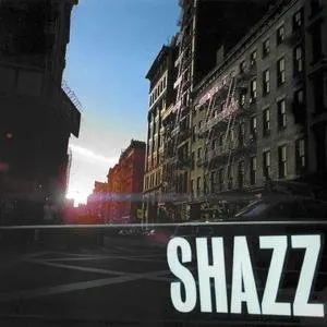 Pochette de In the Light de Shazz