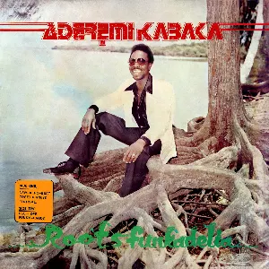 Pochette de Roots Funkadelia de Remi Kabaka