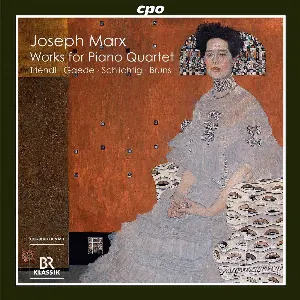 Pochette de Works for Piano Quartet de Oliver Triendl