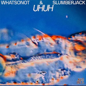 Pochette de Uh Uh de What So Not