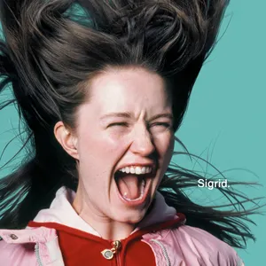 Pochette de Fort Knox de Sigrid