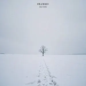 Pochette de Cold Tears de Rojinski