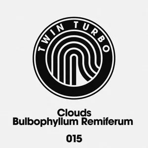 Pochette de Bulbophyllum Remiferum de Clouds