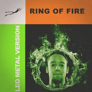 Pochette de Ring of Fire (Metal version) de Leo Moracchioli