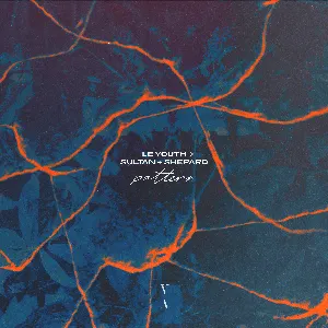 Pochette de Pattern de Sultan + Shepard - Le Youth