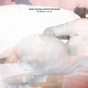 Pochette de The Elusive Flexure de John Wiese