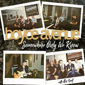 Pochette de Somewhere Only We Know de Alex Goot