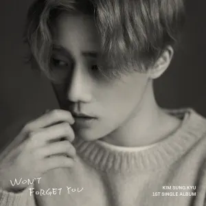 Pochette de Won't Forget You de Sungkyu