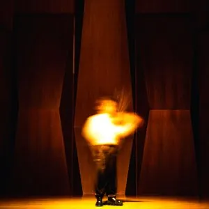 Pochette de VIOLINIST2 de Leellamarz