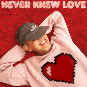 Pochette de Never Knew Love de Riton