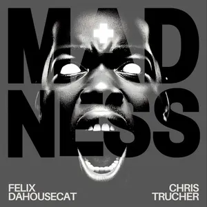 Pochette de Madness de Felix da Housecat