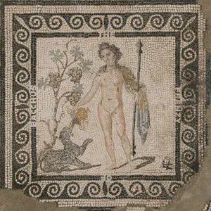 Pochette de The Frenzy of Bacchus de A State of Mind