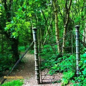 Pochette de MUSHROOM CLOUDS (The Tear Garden Anthology Part 1 - The 80s) de The Tear Garden