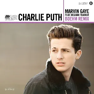 Pochette Marvin Gaye (Boehm remix)
