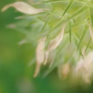 Pochette de Enomeni de Dirk Serries - Aidan Baker